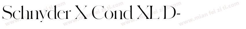 Schnyder X Cond XL D字体转换